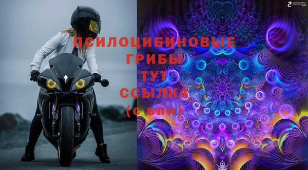 МДПВ Абаза