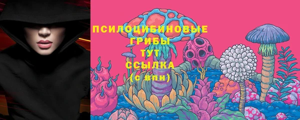 винт Абинск