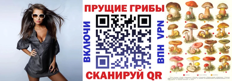 ОМГ ОМГ как зайти  сколько стоит  Нефтеюганск  Галлюциногенные грибы Psilocybine cubensis 